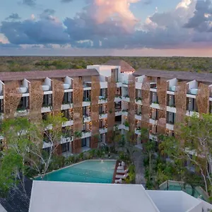 stunning-studio-with-rooftop-and-private-jacuzzi.allrivieramayahotels.com/